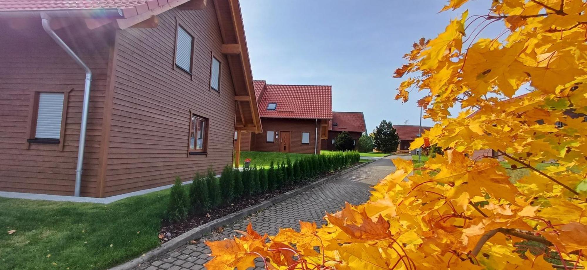 Premiumferienhaus Bhakti Hasselfelde Εξωτερικό φωτογραφία